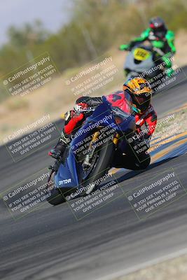 media/Nov-11-2023-SoCal Trackdays (Sat) [[efd63766ff]]/Turn 7 (2pm)/